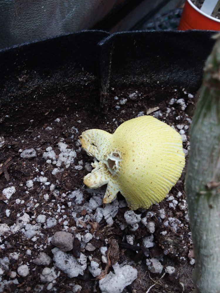 20180107 165326