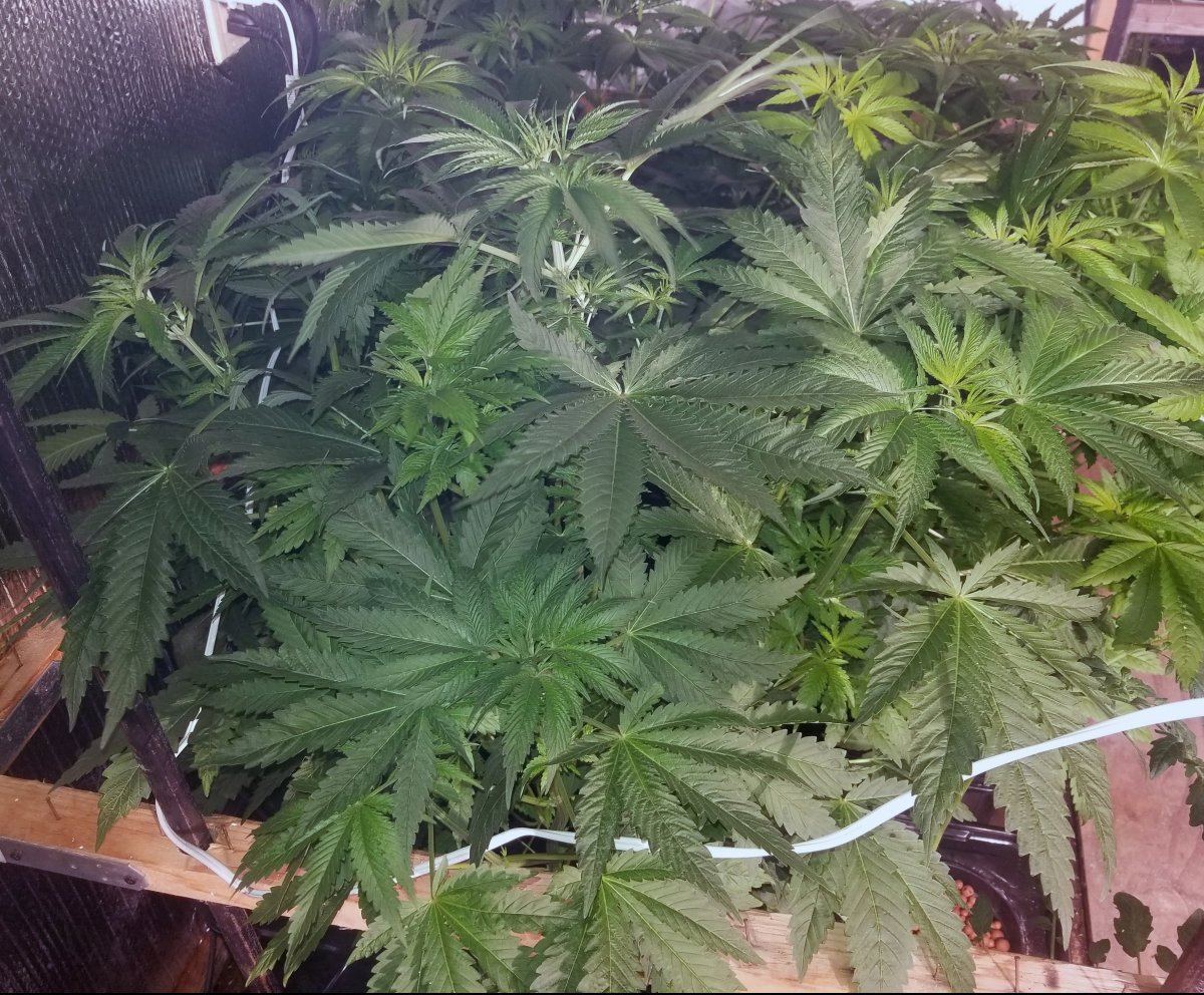 20180109 210646