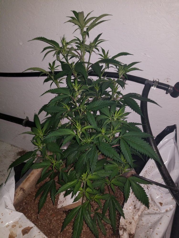 20180110 184721