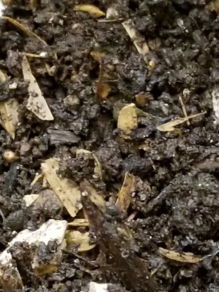 20180116 130614