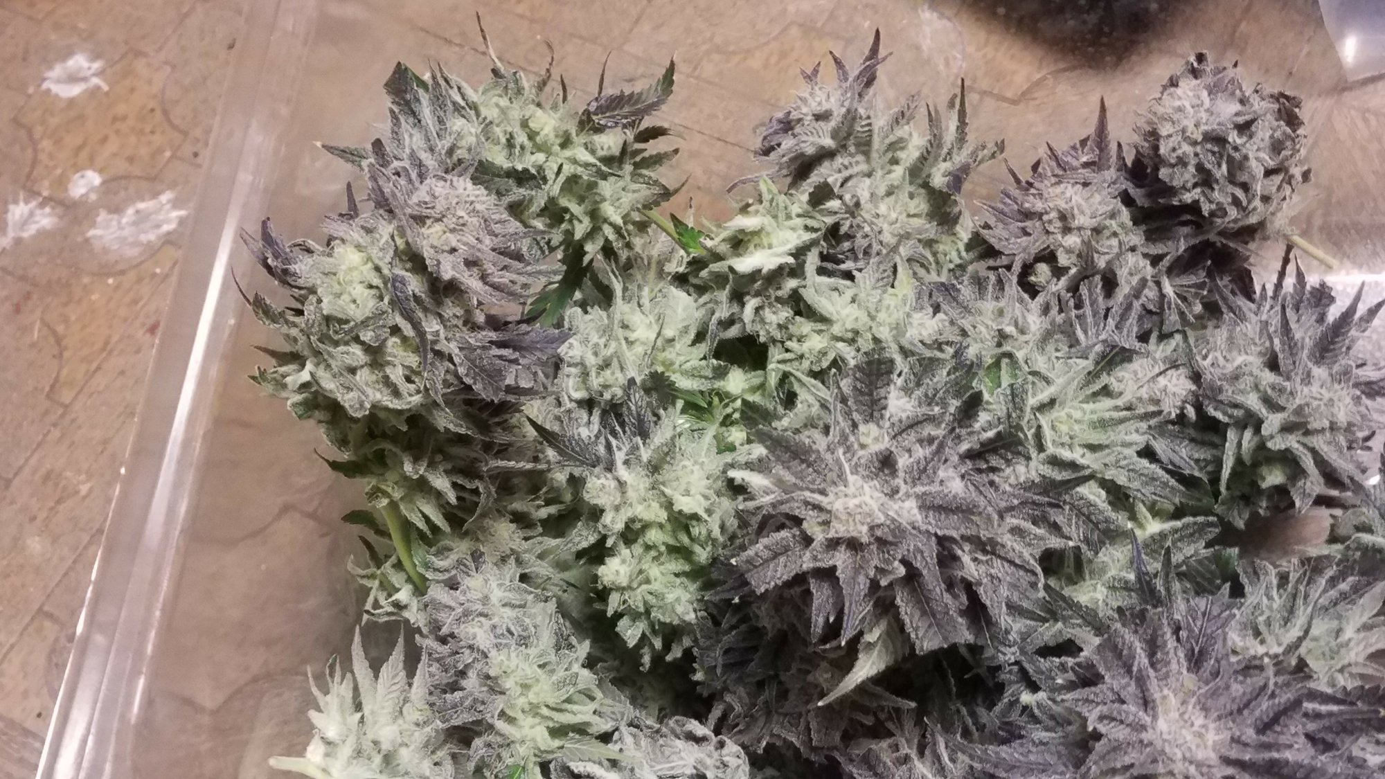 20180122 001715 001