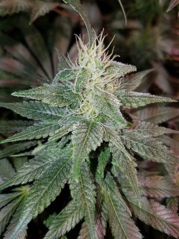 20180129 094524