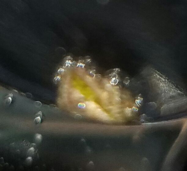20180202 1013011