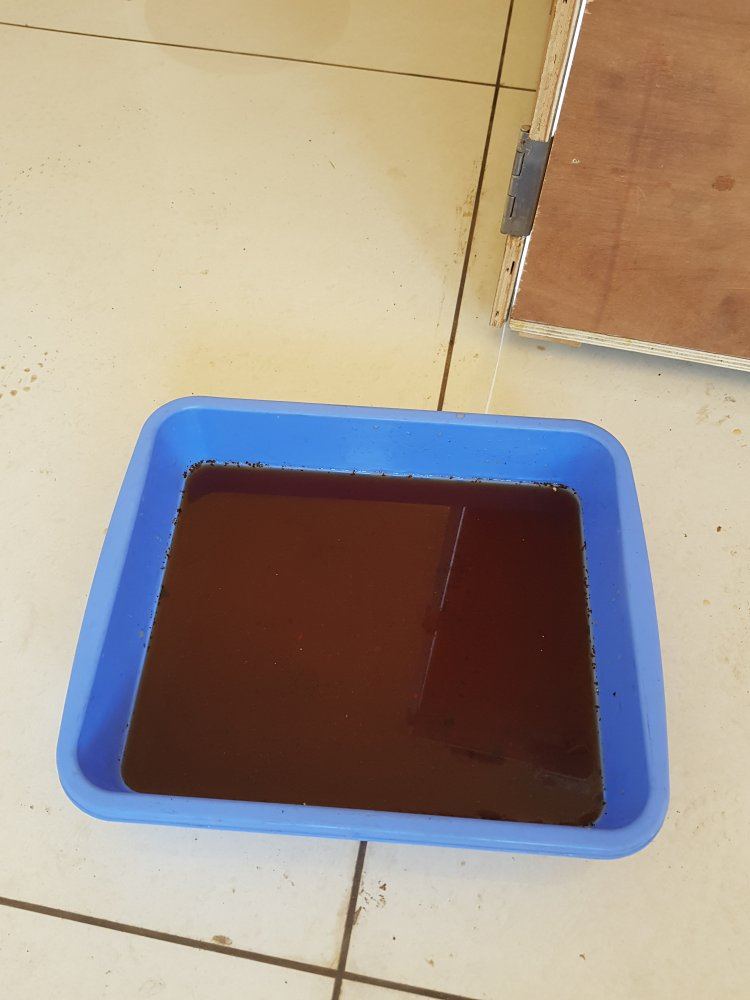20180208 142030