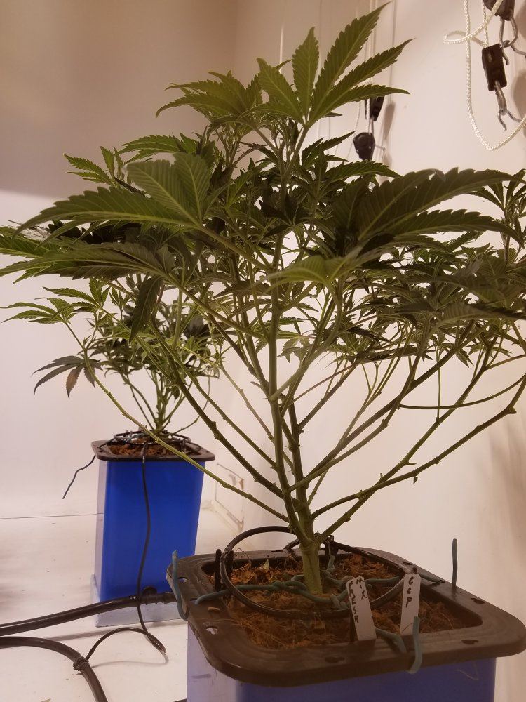 20180314 103647
