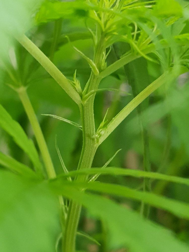 20180316 165042