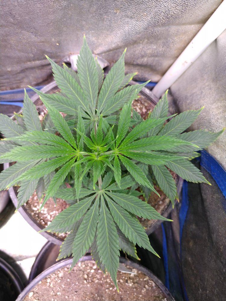 20180321 230203