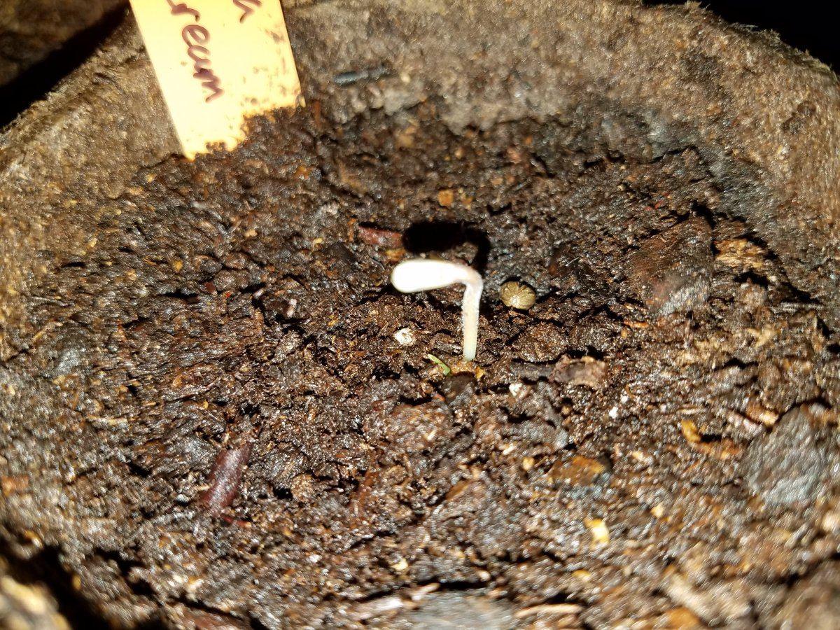 20180404 063210