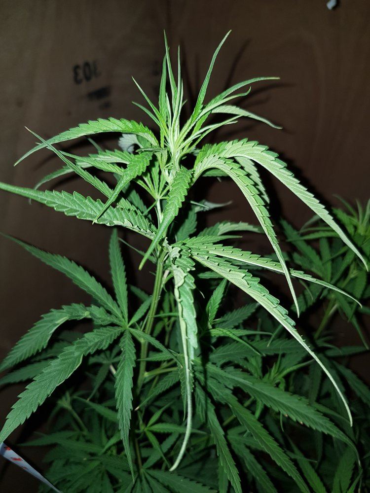 20180410 154357
