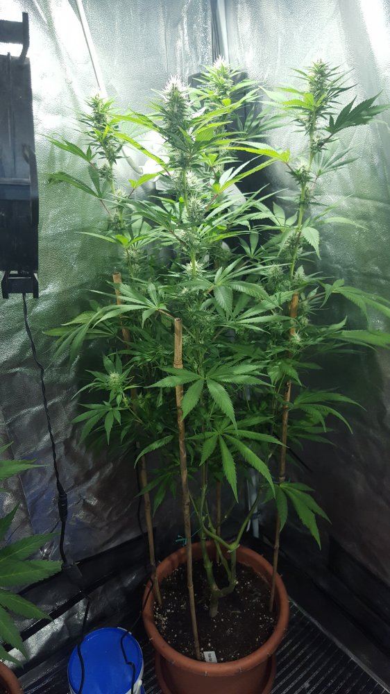 20180414 000714
