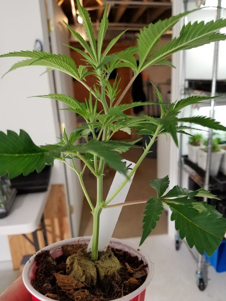 20180417 083946
