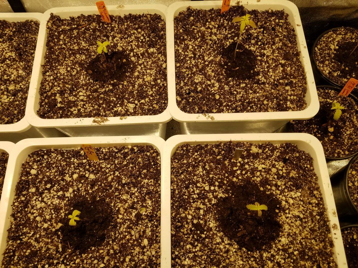 20180503 055719