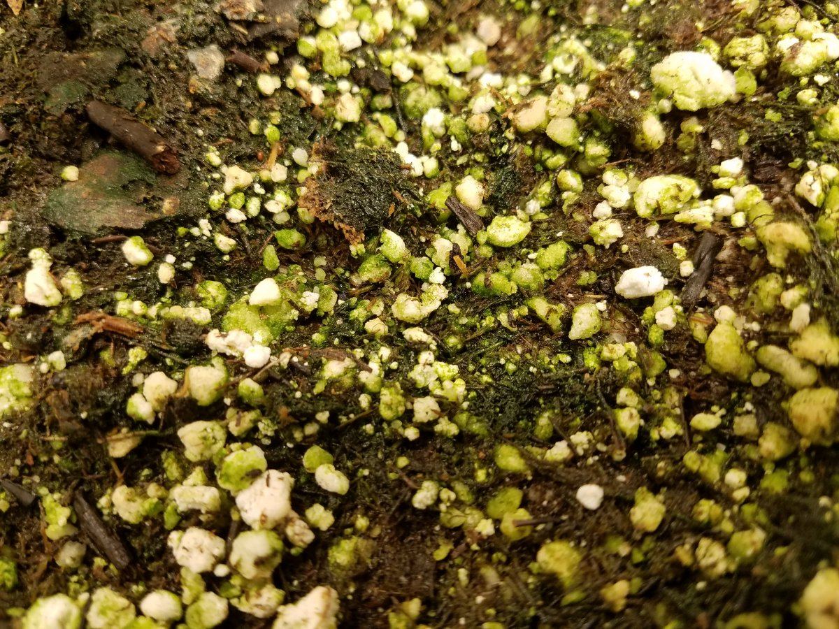 20180510 053611