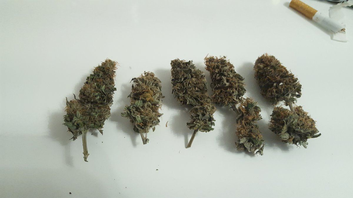 20180511 020650