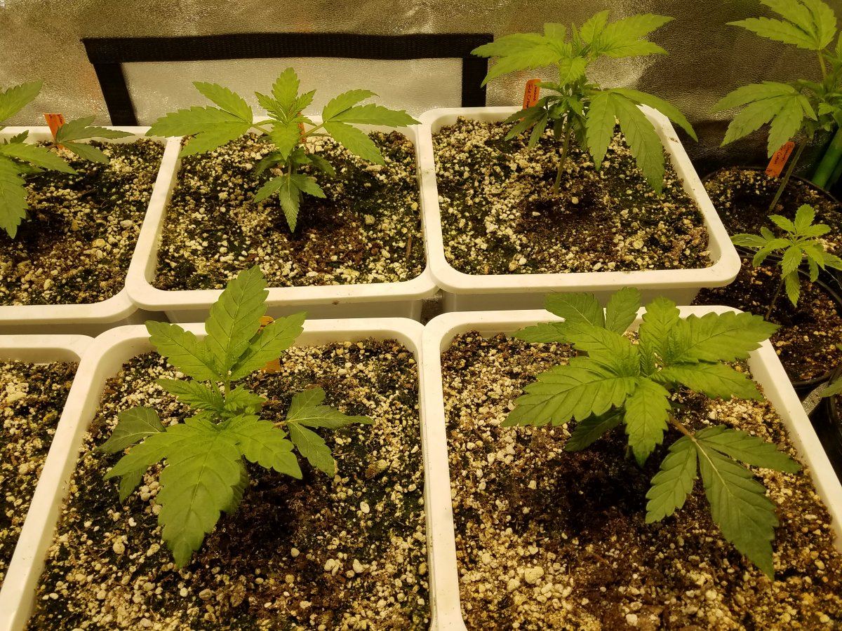 20180516 101749