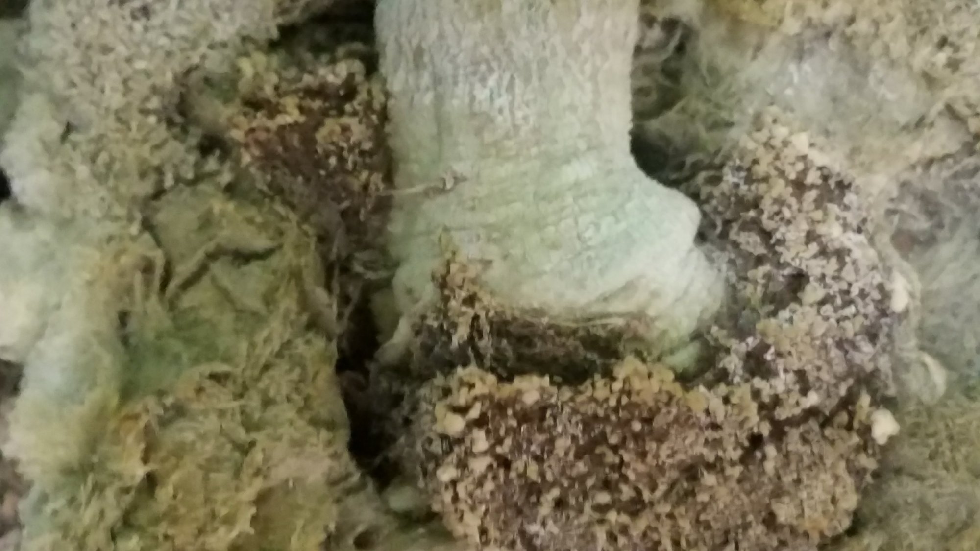 20180519 160025