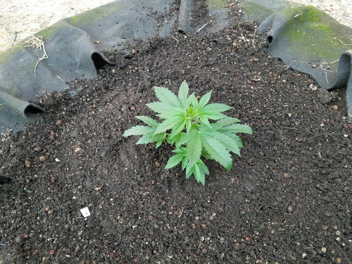 20180524 182213