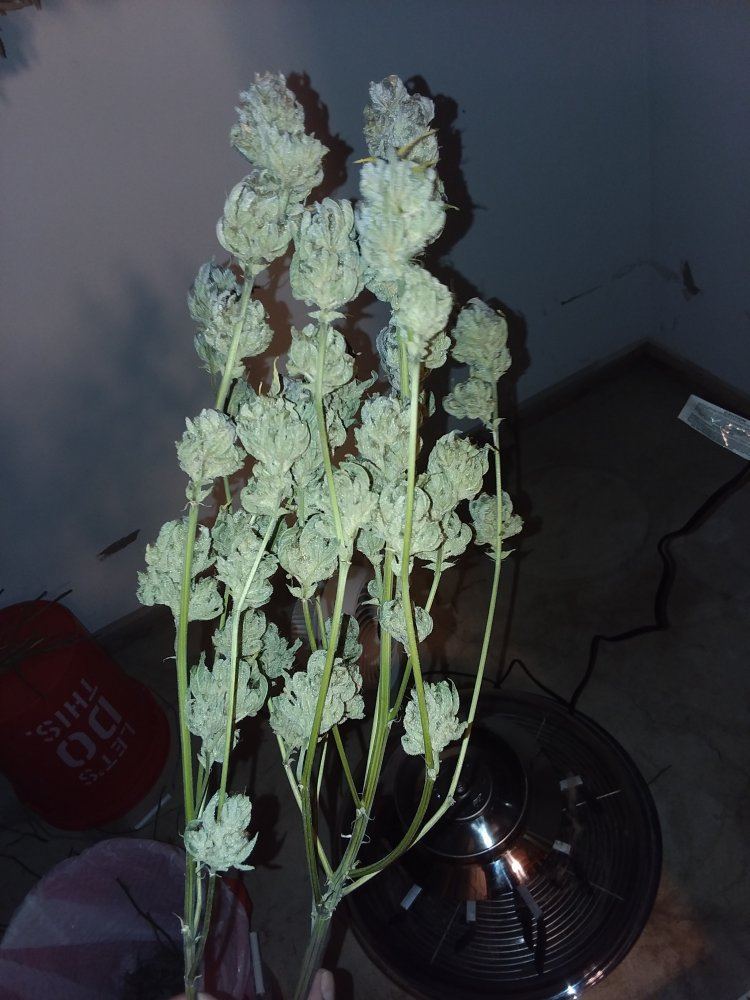 20180525 141109
