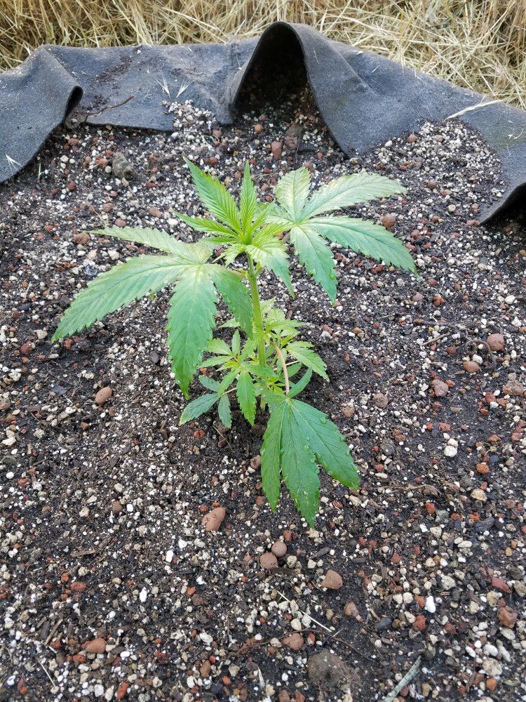 20180527 080835