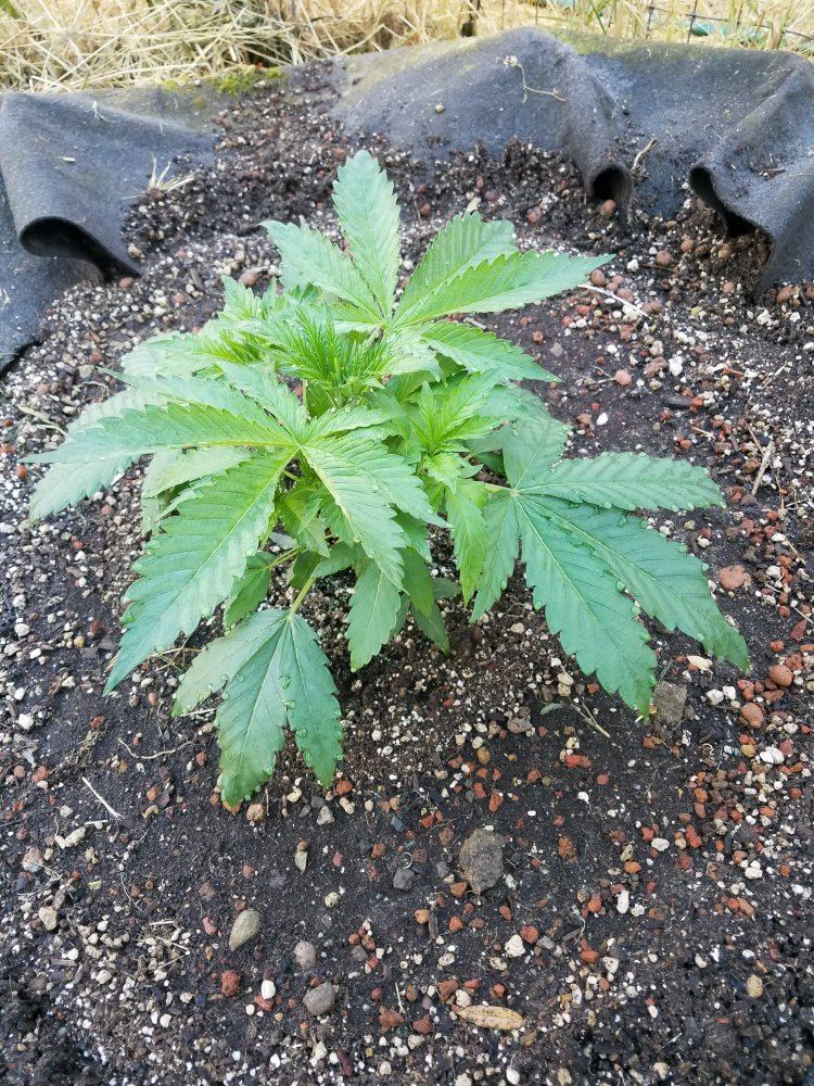 20180527 080845