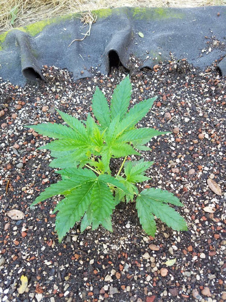 20180527 080907