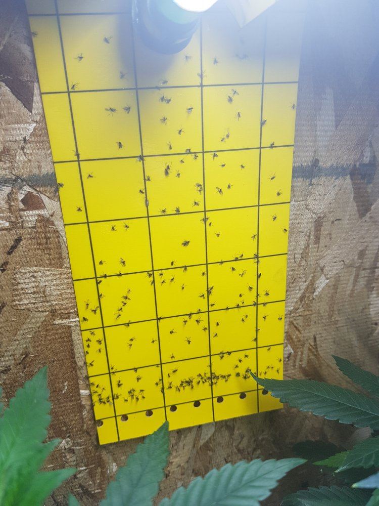 20180527 223221