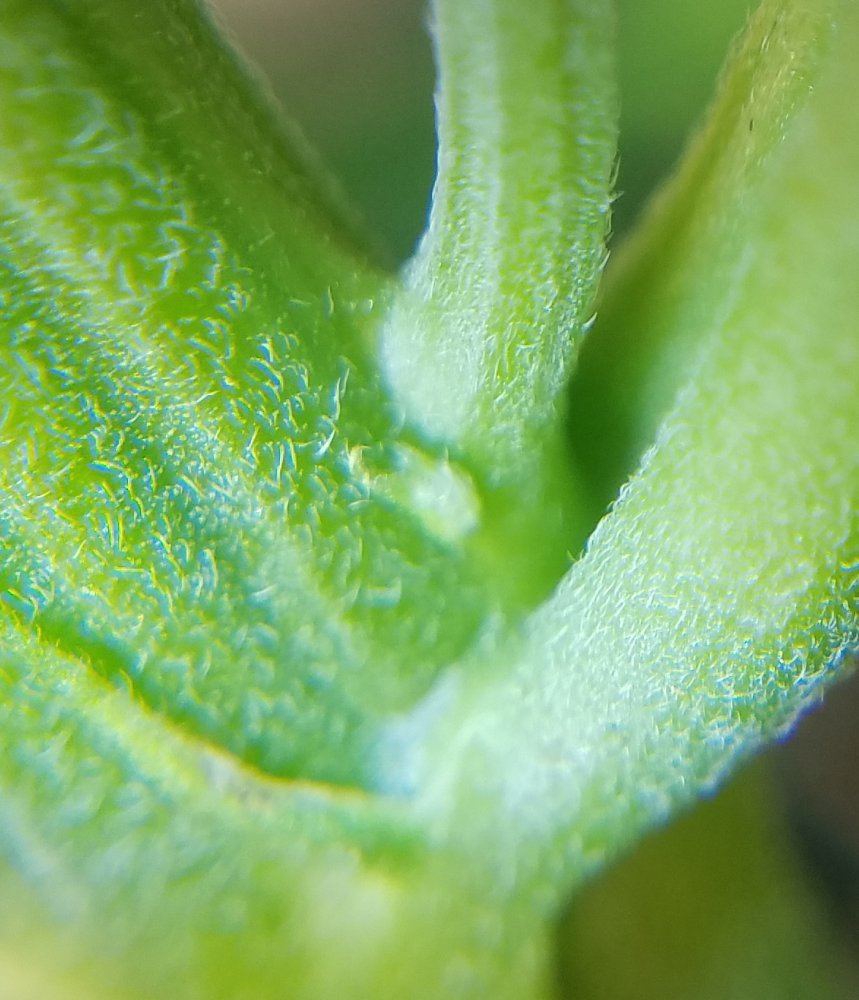 20180601 141441