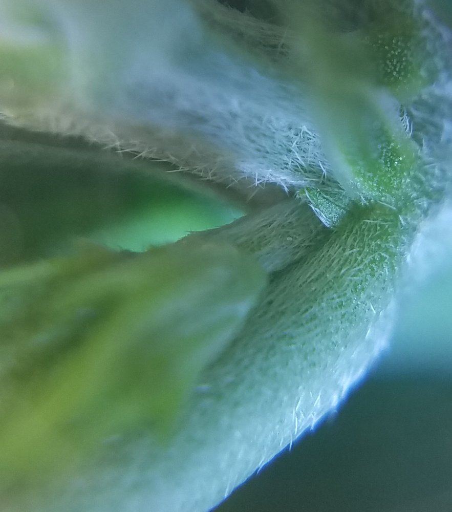 20180603 061159