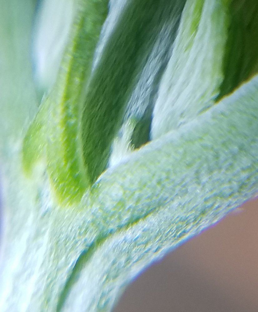20180605 091817