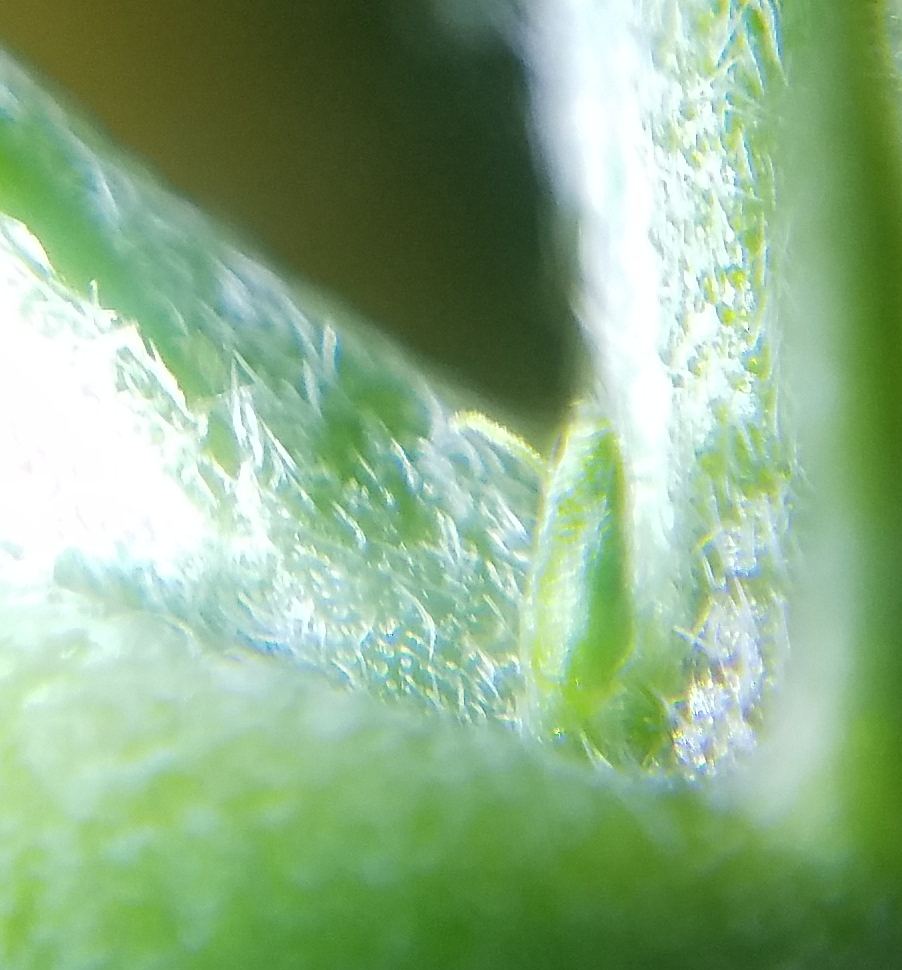 20180605 091838