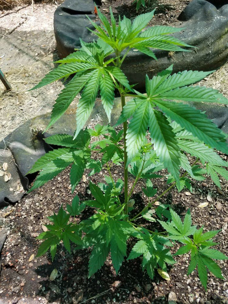 20180605 142900