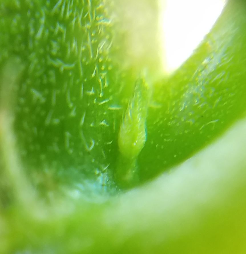 20180605 143058