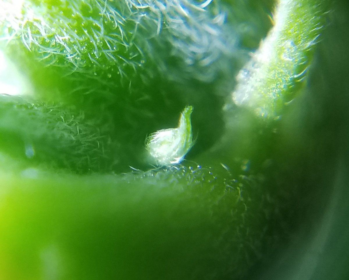 20180606 165614