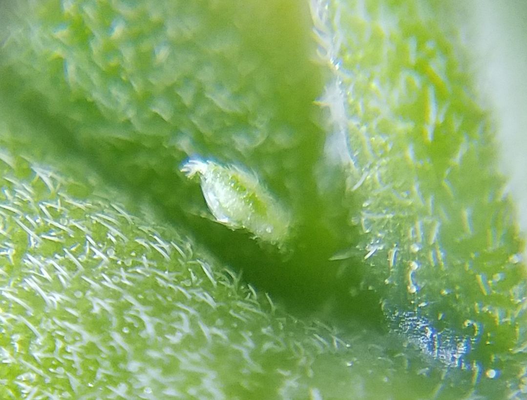20180606 170707