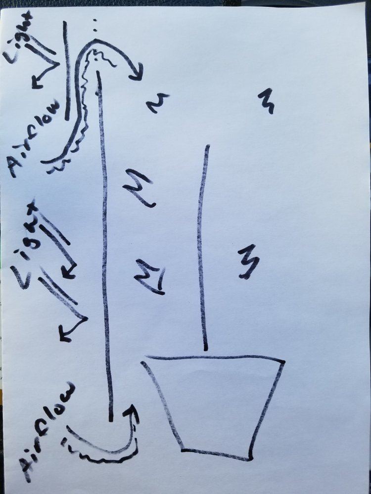 20180615 104446