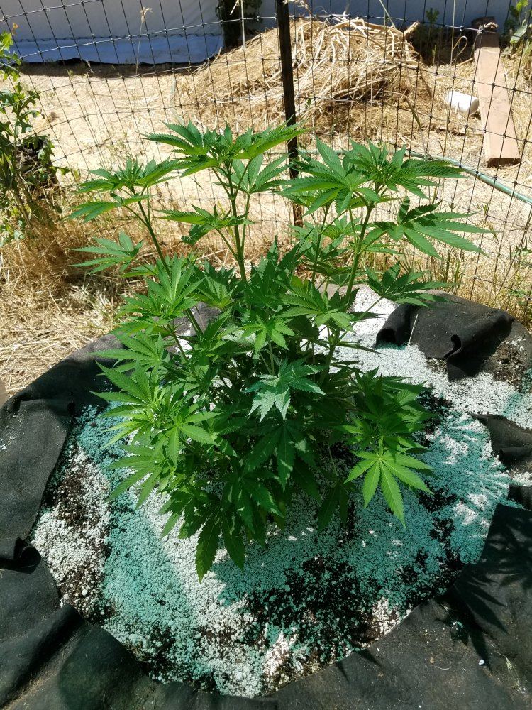 20180621 145854
