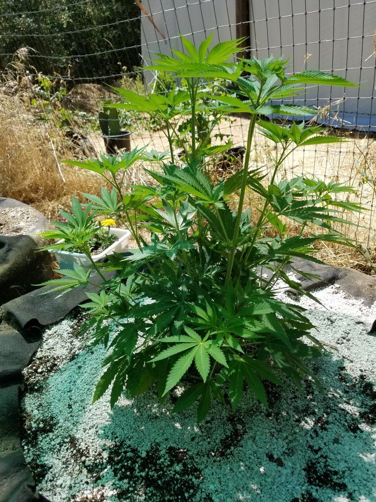 20180621 150029
