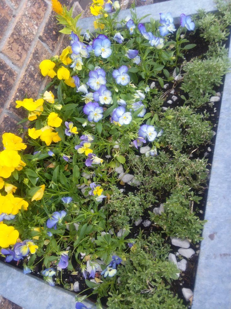 20180621 190108