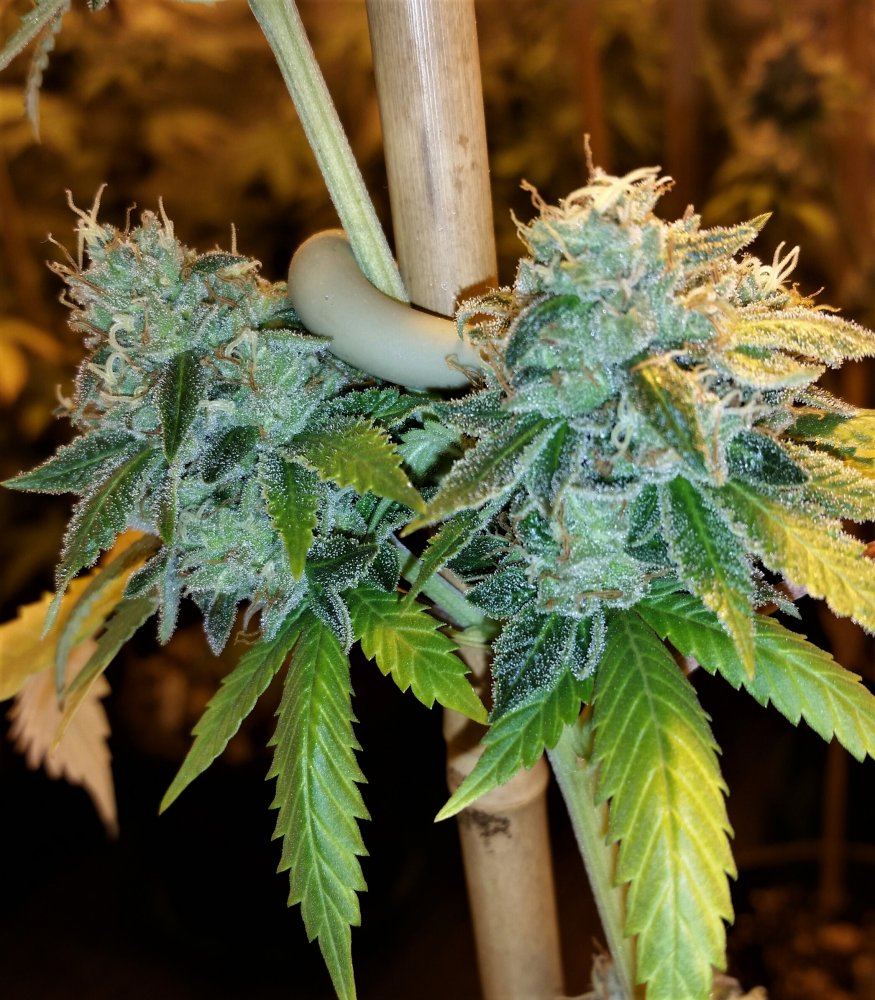 20180626 135834 1