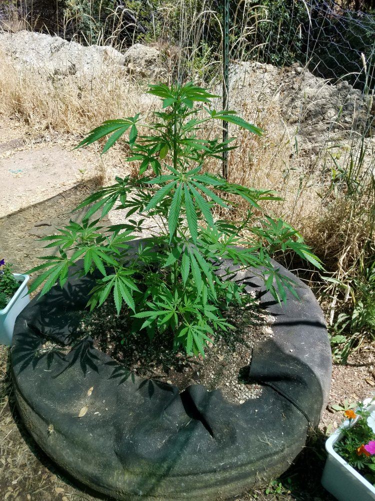 20180628 150223