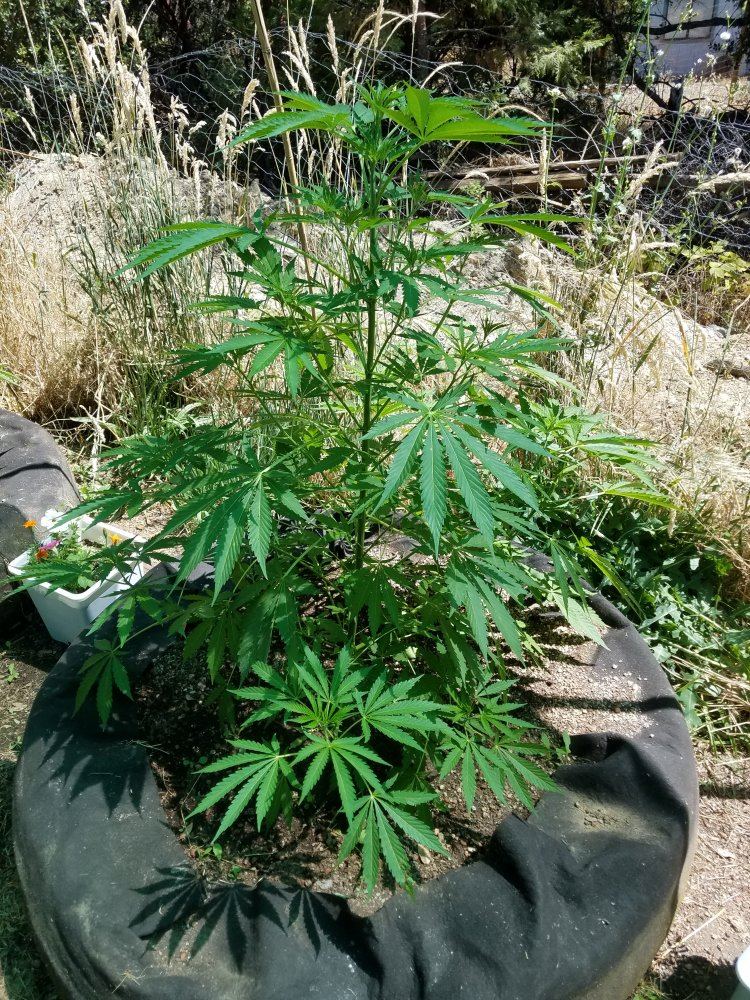 20180628 150242