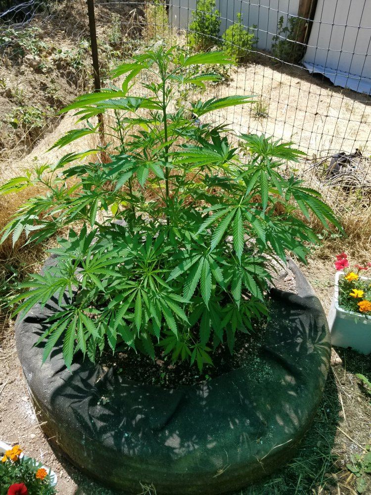 20180628 150253