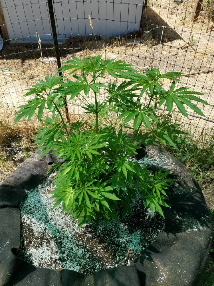 20180628 150310