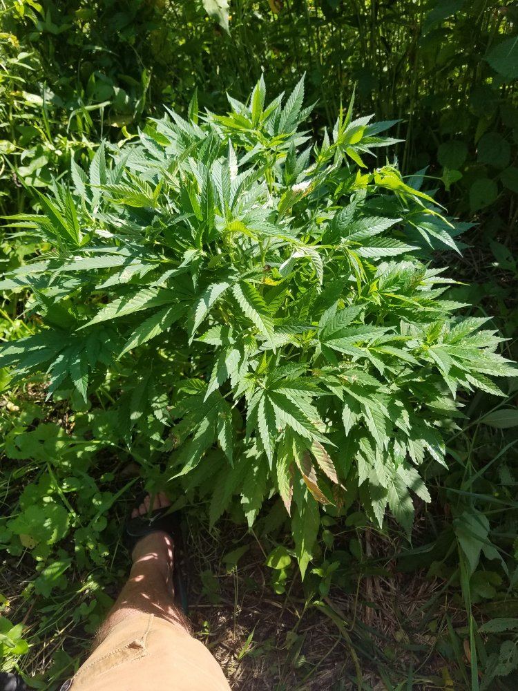 20180630 092117