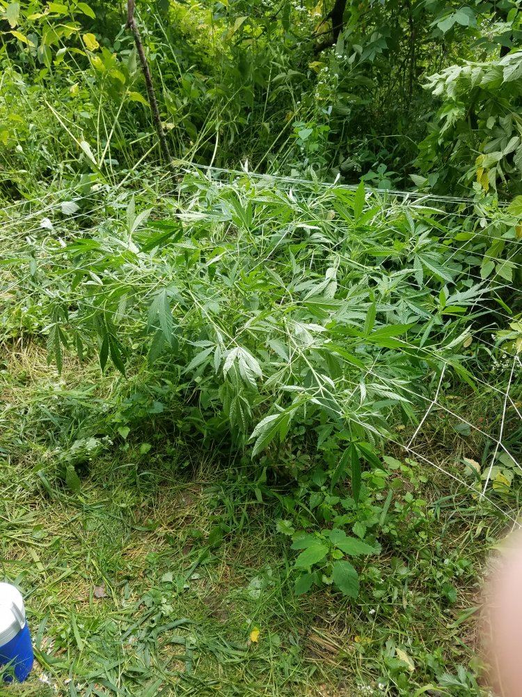 20180701 124542