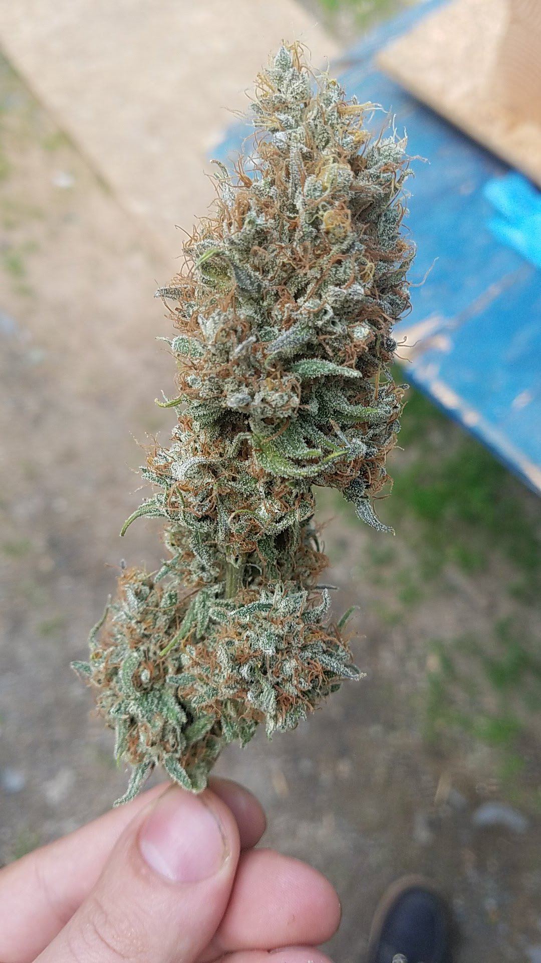 20180702 175331