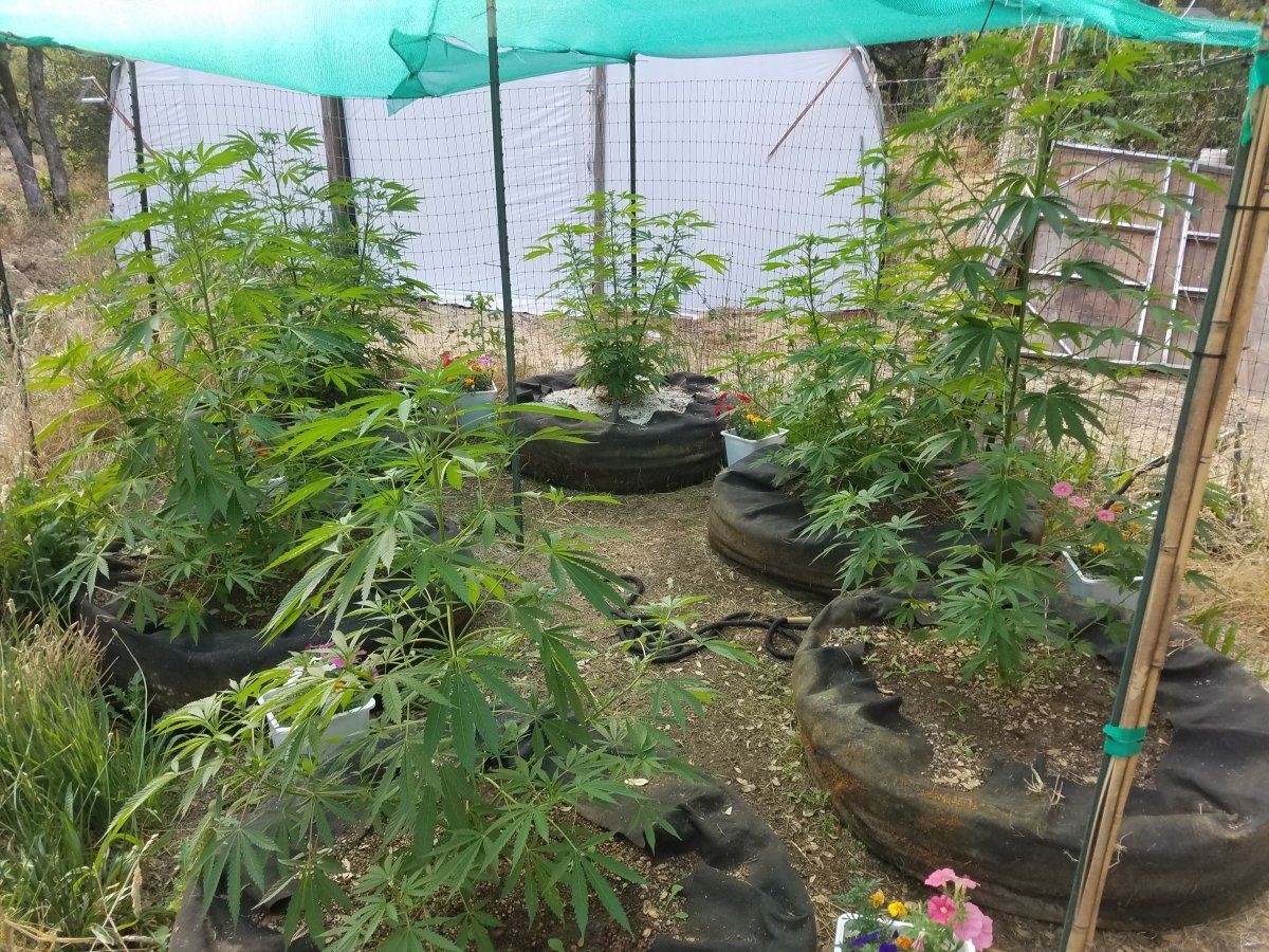 20180706 173156