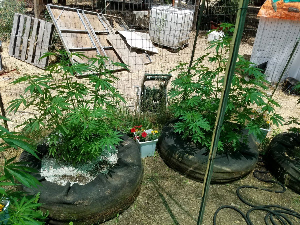 20180707 132141