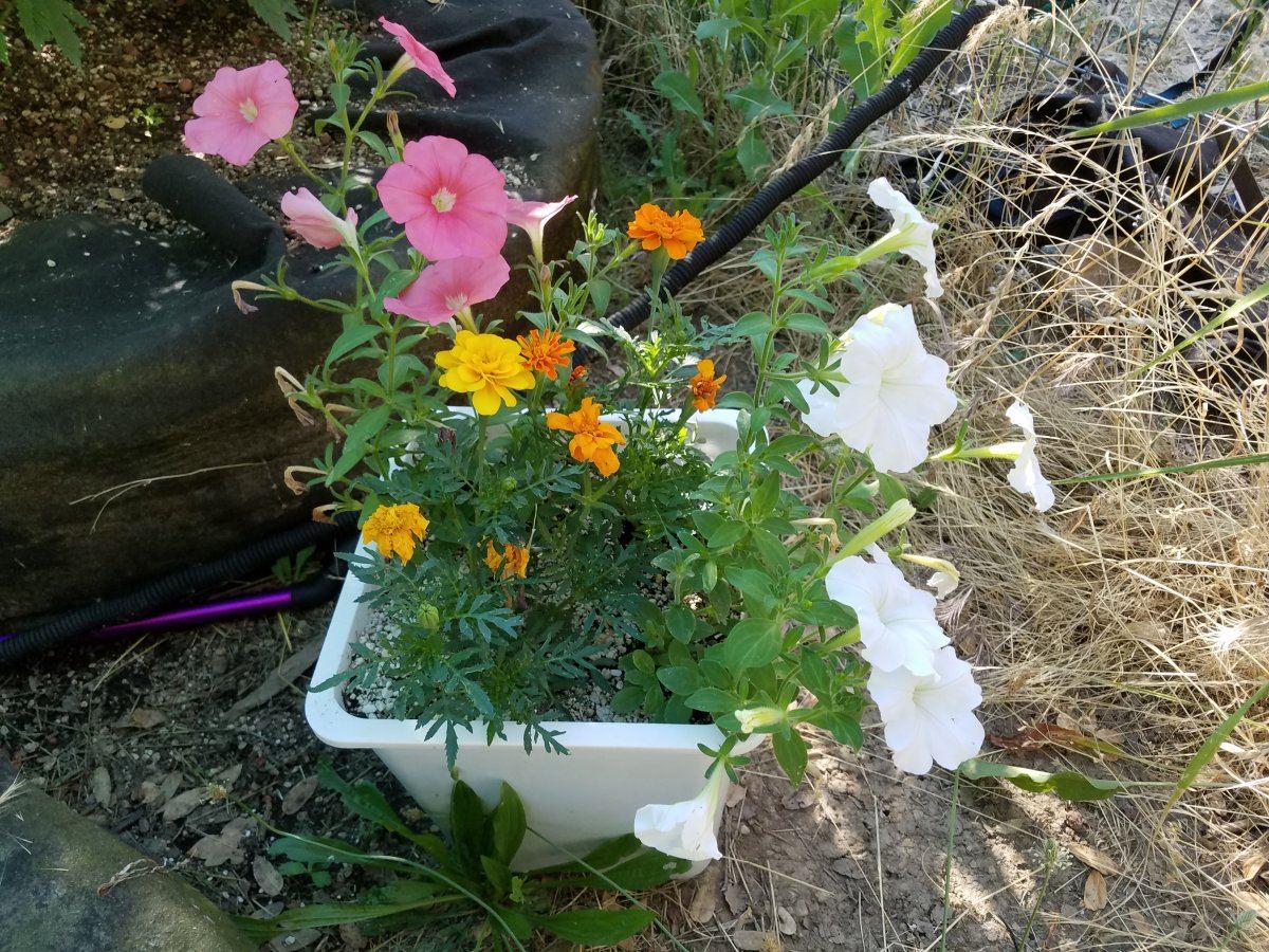 20180708 175010