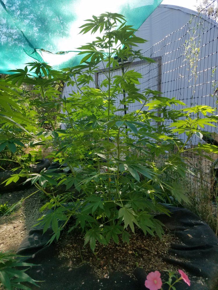 20180708 175817